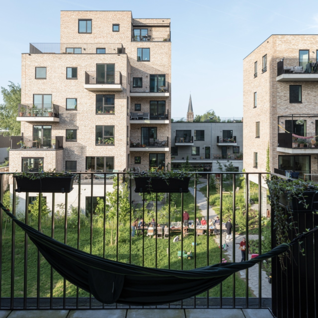 916 bijgaardehof bogdan 3 Laurian Ghinitoiu