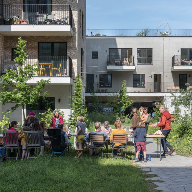 916 bijgaardehof bogdan 5 Laurian Ghinitoiu