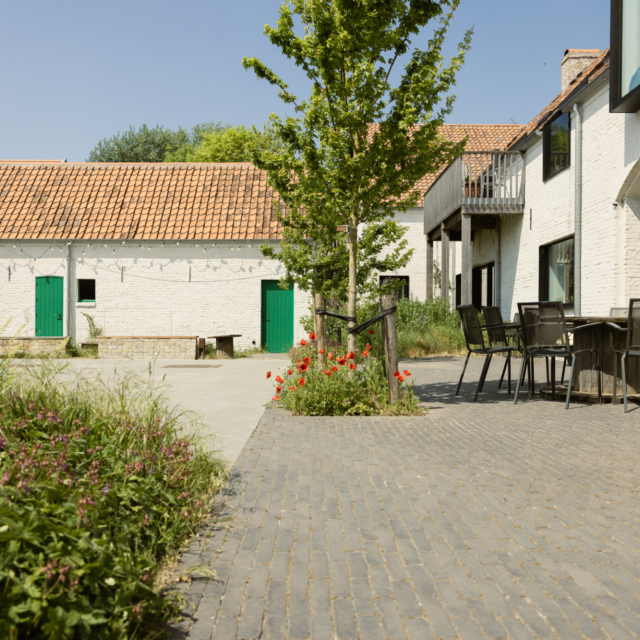 COHOUSING 202505 6 X8 A3001 WEB