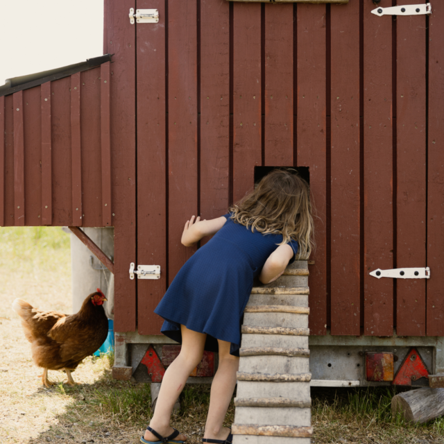 COHOUSING 202505 6 X8 A3217 WEB