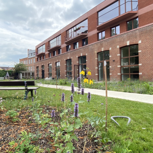 Foto 1 08 2020 12 01 17