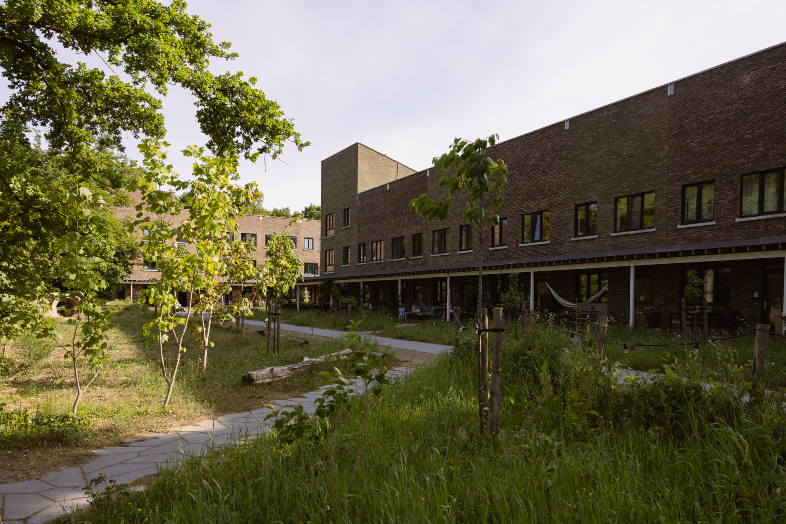 COHOUSING 202505 6 X8 A5155 WEB