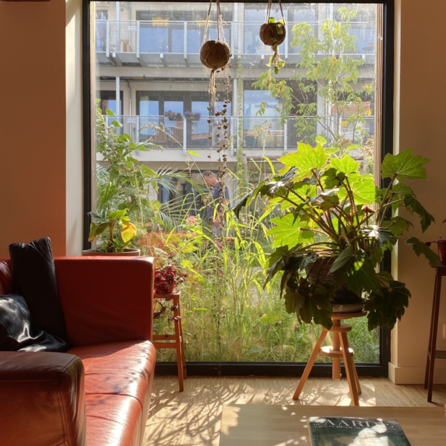 In Druk Borgerhout common house