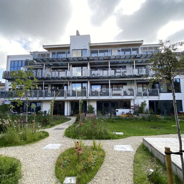 In Druk Borgerhout gevel