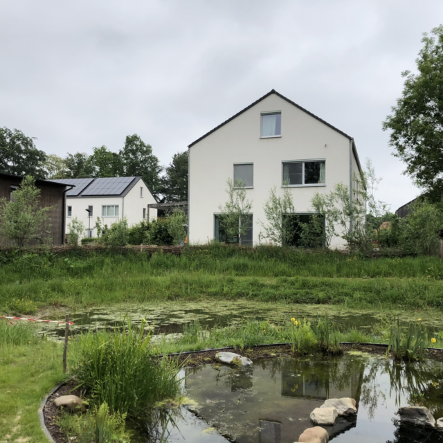 Vinderhoute 20180519 vijver op bezoekdag 3