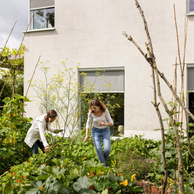 416b64b5 6a84 4f7f 94d1 5f7d351c2bf3