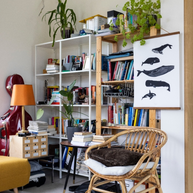 C096057c dd05 47dd a25d 339cb0b6e3b6